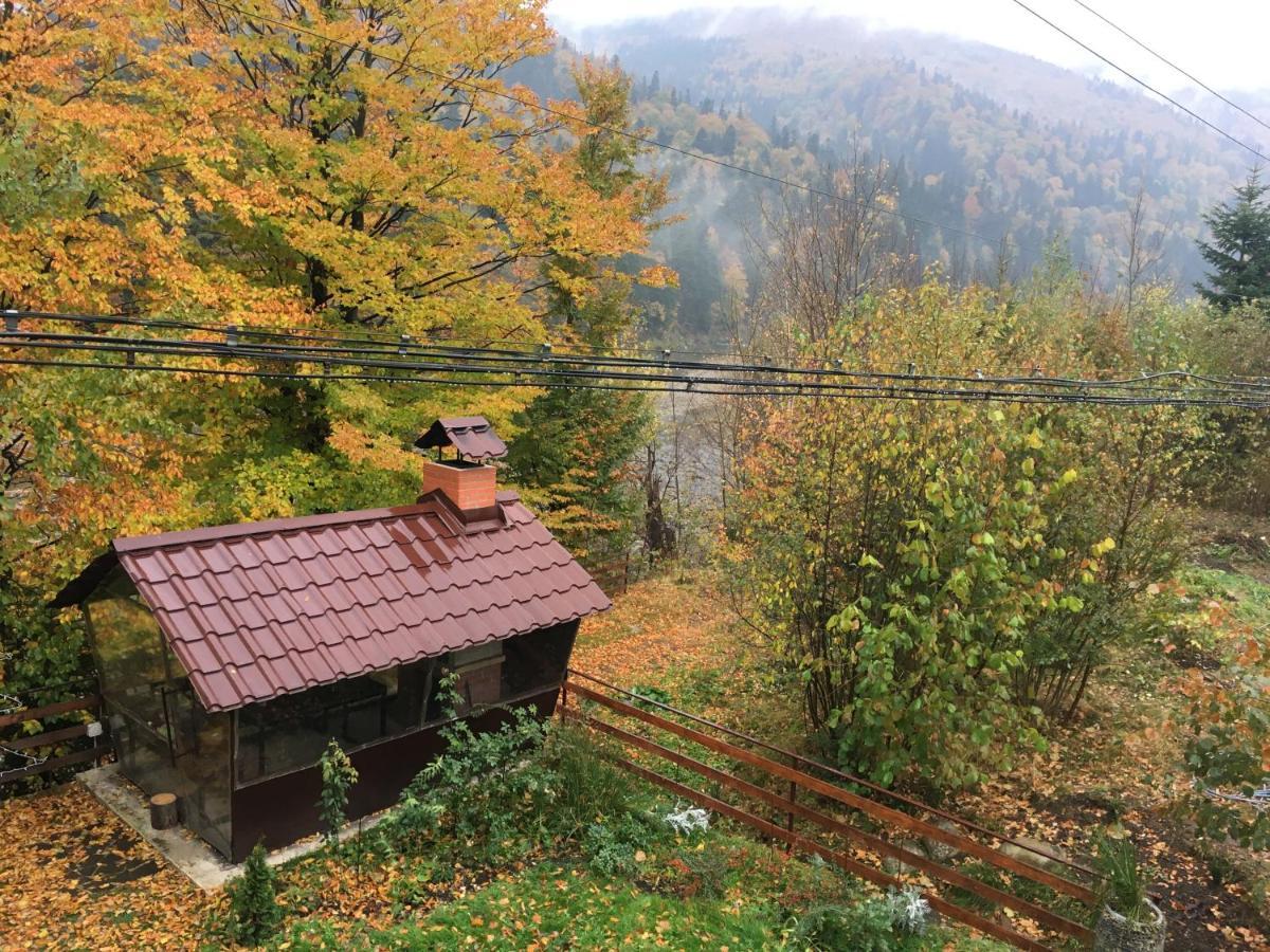 Mini-Hotel Serpanok Mîkulîciîn Exterior foto
